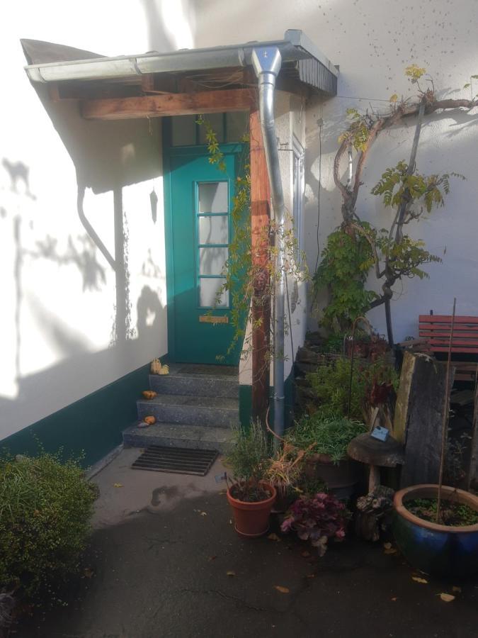 Gartenzimmer Mit Strassenbahn Zu Dom Und Messe โคโลญ ภายนอก รูปภาพ